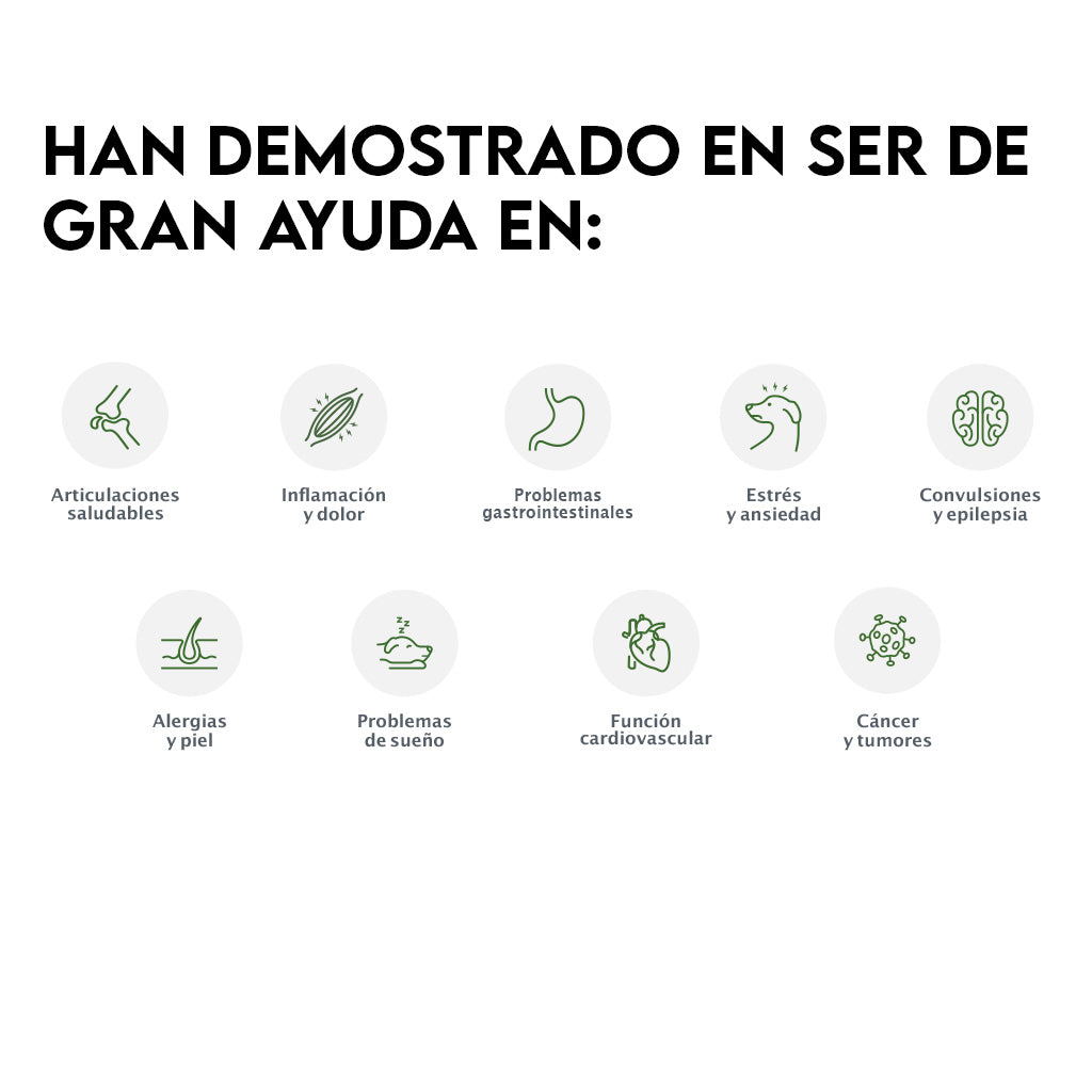 CBD Pet |  Tinturas Razas Grandes