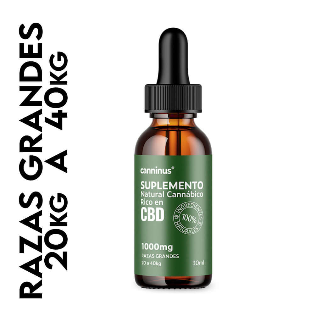CBD Pet |  Tinturas Razas Grandes