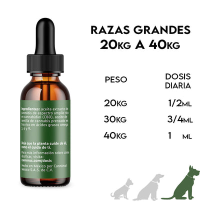 CBD Pet |  Tinturas Razas Grandes