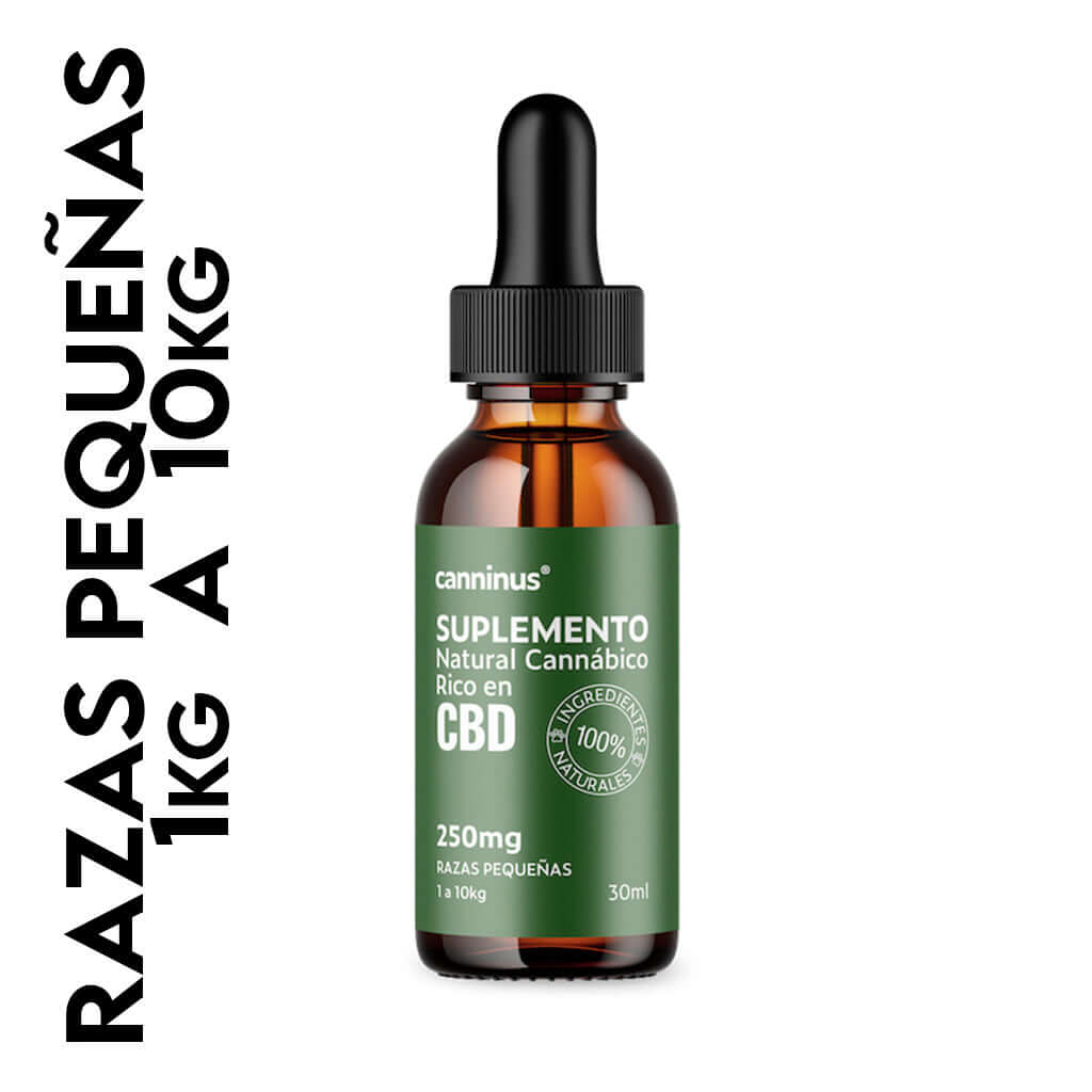 CBD Pet |  Tinturas Razas pequeñas